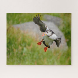 広げられた翼とのニシツノメドリの鳥の飛行 ジグソーパズル