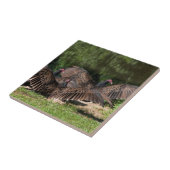 広げられた翼を持つヒメコンドル タイル (側面)