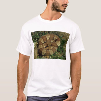 広バンドを付けられたcopperheadのヘビメンズTシャツ Tシャツ