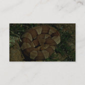 広バンドを付けられたcopperhead 名刺 (裏面)