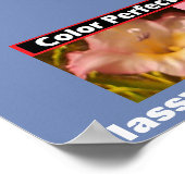 広告クラスエレガント魅力的 ポスター (角)