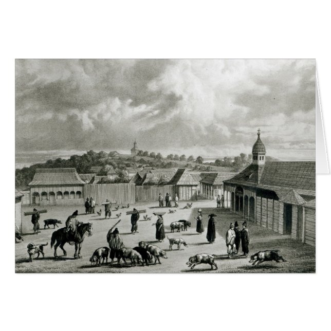 広場de San Carlos de Chiloe 1835年] (正面横)
