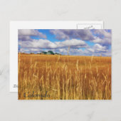 広大なコロラド州 ポストカード (正面/裏面)