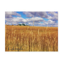 広大なコロラド州