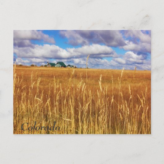 広大なコロラド州 ポストカード (正面)