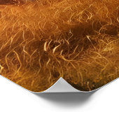 広大な威厳のある草原でライオンズユナイト ポスター (角)