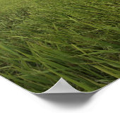 広大な露天田 ポスター (角)