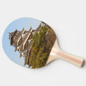 広島県広島城広島城 卓球ラケット (横)