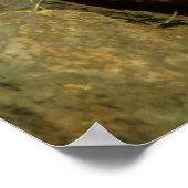 広縞模様のカッパーヘッドポスタープリント ポスター (角)