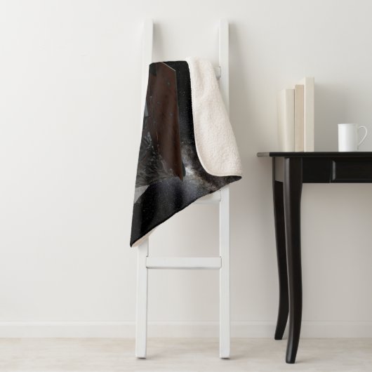 広視野赤外線探査宇宙機 シェルパブランケット (インサイチュ)