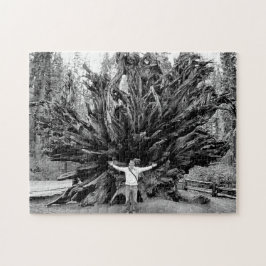 広角シーケンサツリートランク – 11x14 - 252個。 ジグソーパズル