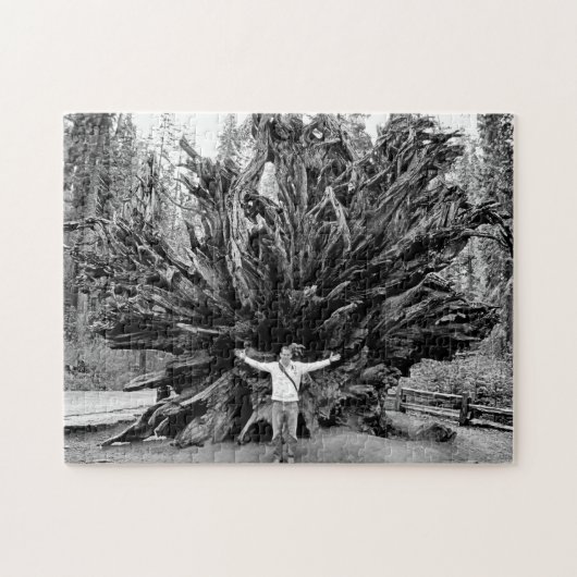 広角シーケンサツリートランク – 11x14 - 252個。 ジグソーパズル (横)