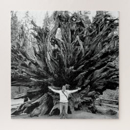 広角シーケンサツリートランク – 20x20 - 676個。 ジグソーパズル