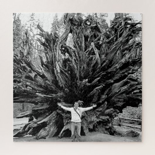 広角シーケンサツリートランク – 20x20 - 676個。 ジグソーパズル (縦)