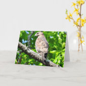 広飛んだタカの挨拶状、ブランク中 カード (黄色い花)