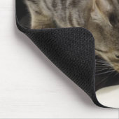 床からシルバータブ猫のクリームを飲む マウスパッド (コーナー)