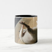 床にあっている犬 ツートーンマグカップ (中央)