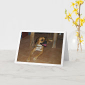 床に座る犬の肖像 カード (黄色い花)