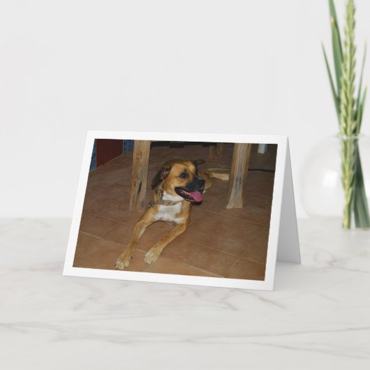 床に座る犬の肖像 カード (正面)