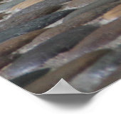 床に横たわる疲れたベンガルの白い虎 ポスター (角)