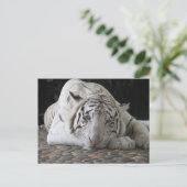床に横たわる疲れたベンガルの白い虎 ポストカード (スタンド正面)