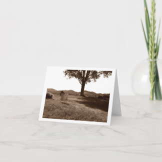 床トム白いドラム空白のノートカード カード