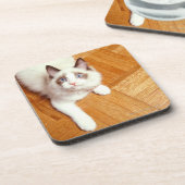 床、高い眺めのRagdoll猫 コースター (左側)