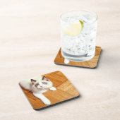 床、高い眺めのRagdoll猫 コースター (右側)