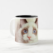 床、高い眺めのRagdoll猫 ツートーンマグカップ (正面左)