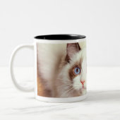 床、高い眺めのRagdoll猫 ツートーンマグカップ (左)