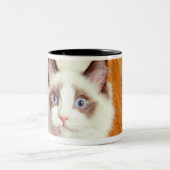 床、高い眺めのRagdoll猫 ツートーンマグカップ (中央)