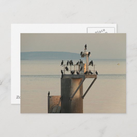 序列 ポストカード (正面/裏面)