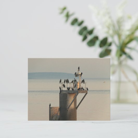 序列 ポストカード (スタンド正面)