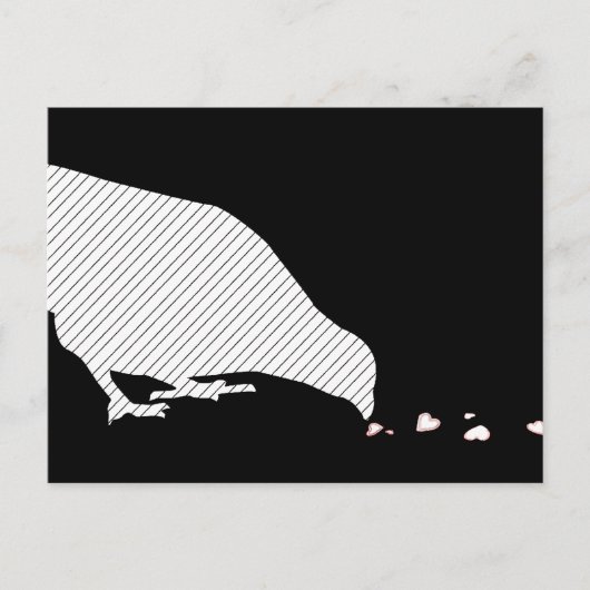 序列 ポストカード (正面)