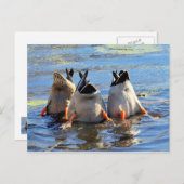 底を上げろ! ポストカード (正面/裏面)