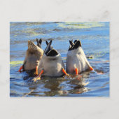 底を上げろ！ ポストカード (正面)