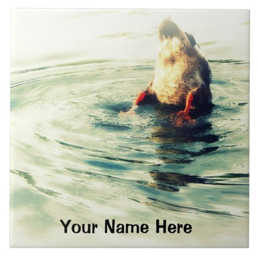 底! おもしろいなアヒルのお尻の写真 タイル (正面)