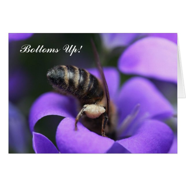 底! カード (正面横)