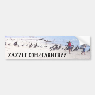 店舗住所ビーチペリカン鳥のバンパーシール バンパーステッカー