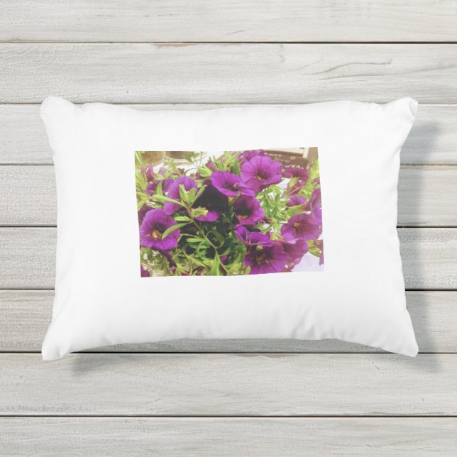 店舗(_Fashionstore) アウトドアクッション (正面)