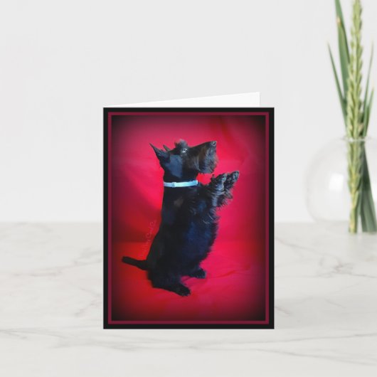 座かわいらしる ノートカード (正面)