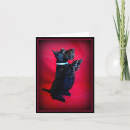 座かわいらしる ノートカード