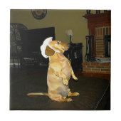 座かわいらし座Dachshundタイル タイル (正面)