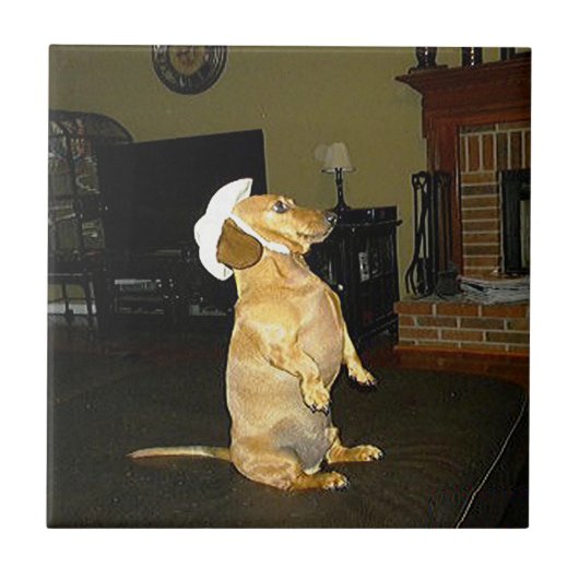 座かわいらし座Dachshundタイル タイル (正面)