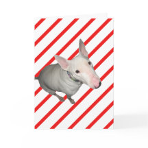 座かわいらし/赤と白ストライプクリスマスカード