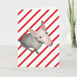 座かわいらし/赤と白ストライプクリスマスカード シーズンカード