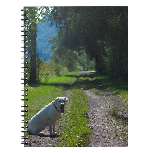 座ったゴールデンレトリバーの肖像 ノートブック (正面)