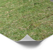 座っているアラブの敵 ポスター (角)