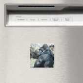 座っているゴリラ マグネット (インサイチュ (食洗機))