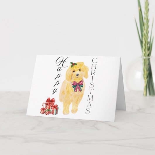 座っている犬のクリスマスカード カード (正面)